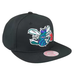 Mitchell & Ness Charlotte Hornets Mitchell And Ness Core Basic Snapback Hat