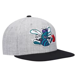 Mitchell & Ness Charlotte Hornets Mitchell And Ness Heather Underpop Snapback Hat