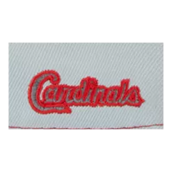 Fashion Hat Shop -Fashion Hat Shop StLouisCardinalsGrayPop59FIFTYFittedHat ef0ff630 85e4 4f1f b168 4d87b8c67742