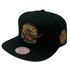 Mitchell & Ness Toronto Raptors Mitchell And Ness BHM Logo Snapback Hat