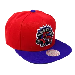 Mitchell & Ness Toronto Raptors Mitchell And Ness Two Tone Core Basic Snapback Hat